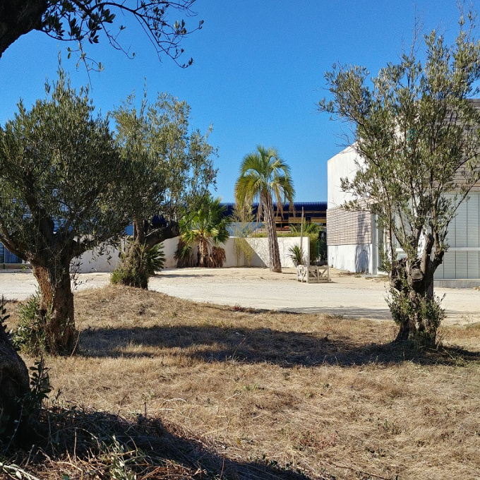 Vente Immobilier Professionnel Local professionnel Clermont-l'Hérault (34800)